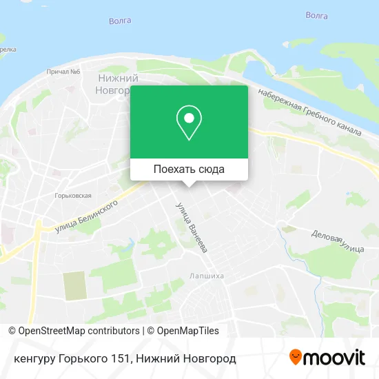 Карта кенгуру  Горького 151