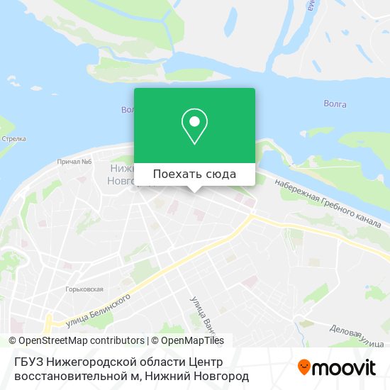 Карта ГБУЗ Нижегородской области  Центр восстановительной м