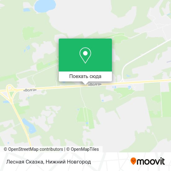 Карта Лесная Сказка
