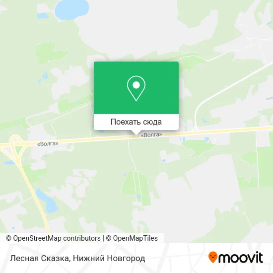 Карта Лесная Сказка