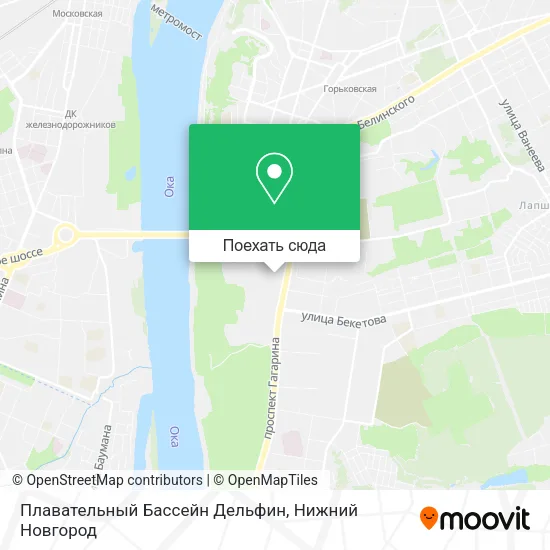 Карта Плавательный Бассейн  Дельфин