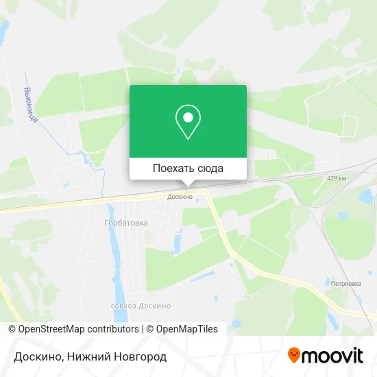 Карта Доскино