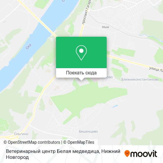 Карта Ветеринарный центр  Белая медведица