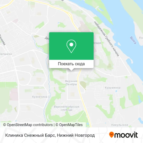Карта Клиника Снежный Барс