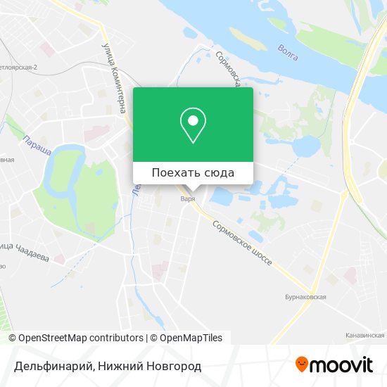 Карта Дельфинарий