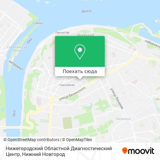 карта нижегородский областной диагностический центр