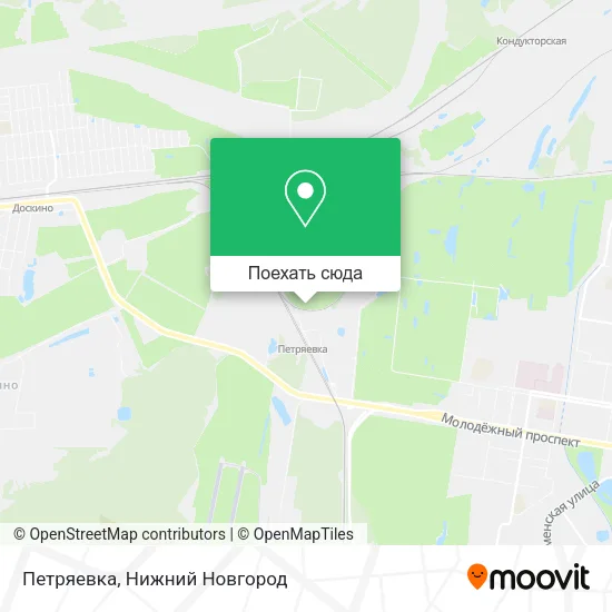 Карта Петряевка