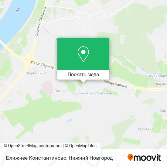 Карта Ближнее Константиново