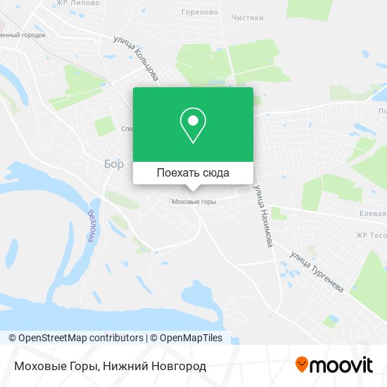 Карта Моховые Горы