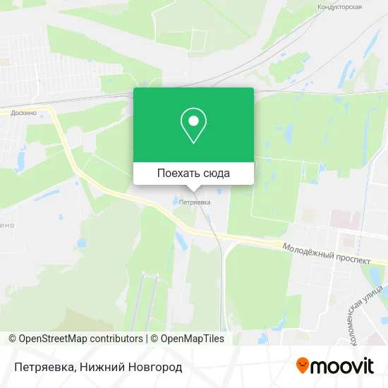 Карта Петряевка