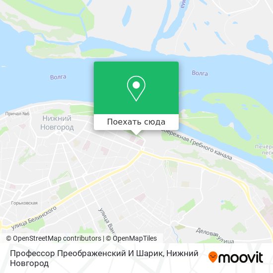 Карта Профессор Преображенский И Шарик