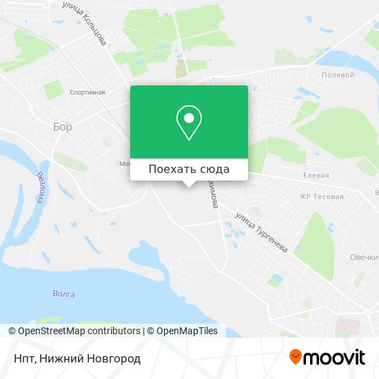 Карта Нпт