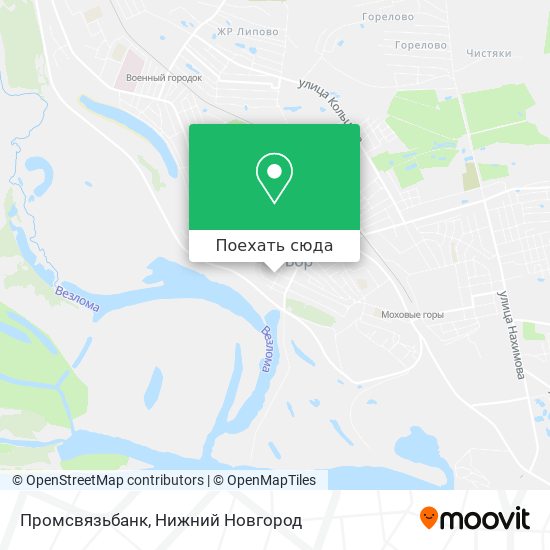 Городской округ бор карта