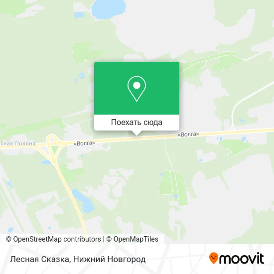 Карта Лесная Сказка
