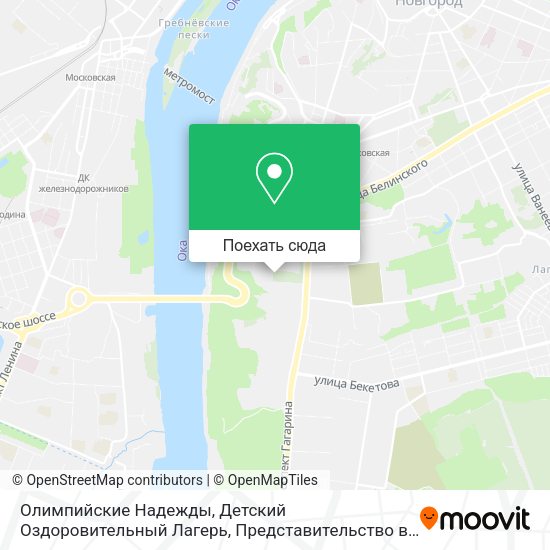 Карта Олимпийские Надежды, Детский Оздоровительный Лагерь, Представительство в Городе