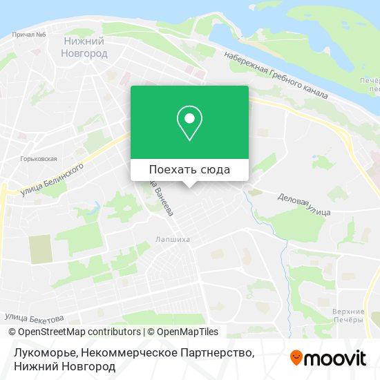 Карта Лукоморье, Некоммерческое Партнерство
