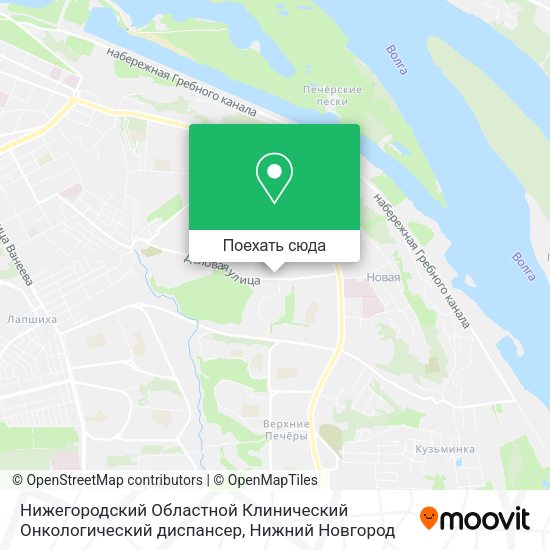 Карта Нижегородский Областной Клинический Онкологический диспансер