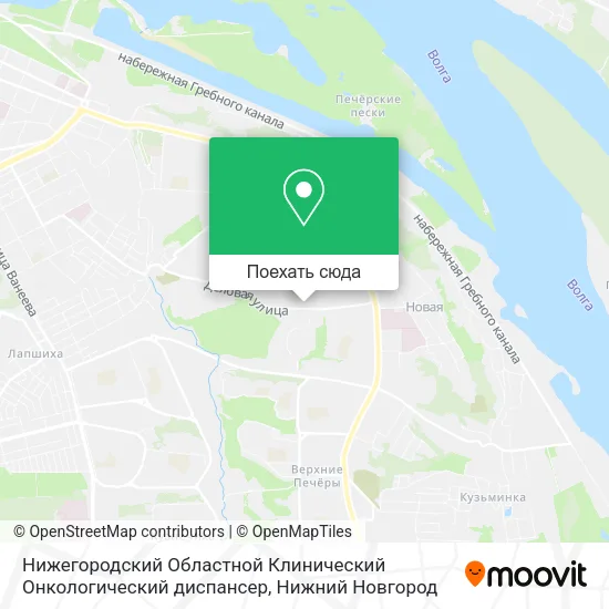 Карта Нижегородский Областной Клинический Онкологический диспансер