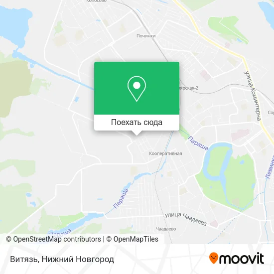 Карта Витязь