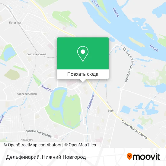 Карта Дельфинарий