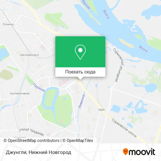 Карта Джунгли