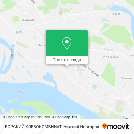 Карта БОРСКИЙ ХЛЕБОКОМБИНАТ