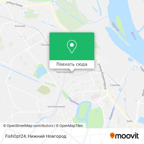 Карта FishOpt24