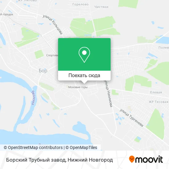 Карта Борский Трубный завод
