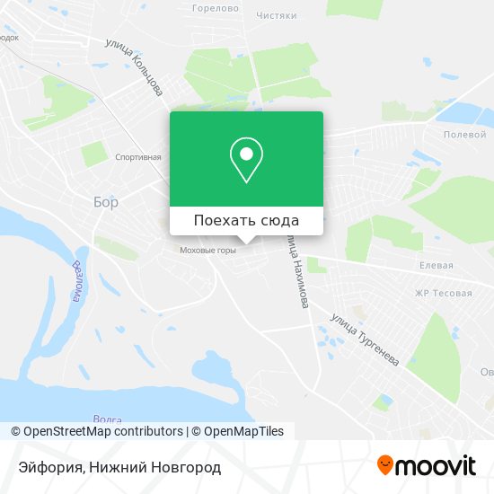 Карта Эйфория