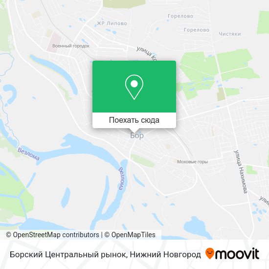 Карта Борский Центральный рынок