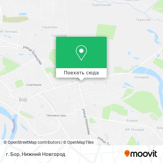 Карта г. Бор