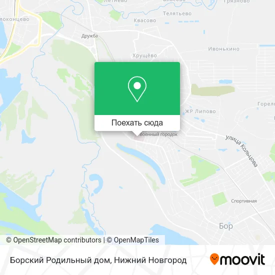 Карта Борский Родильный дом