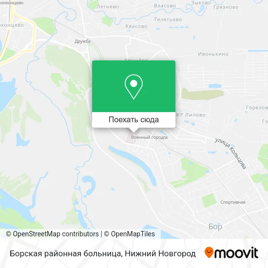 Карта Борская районная больница
