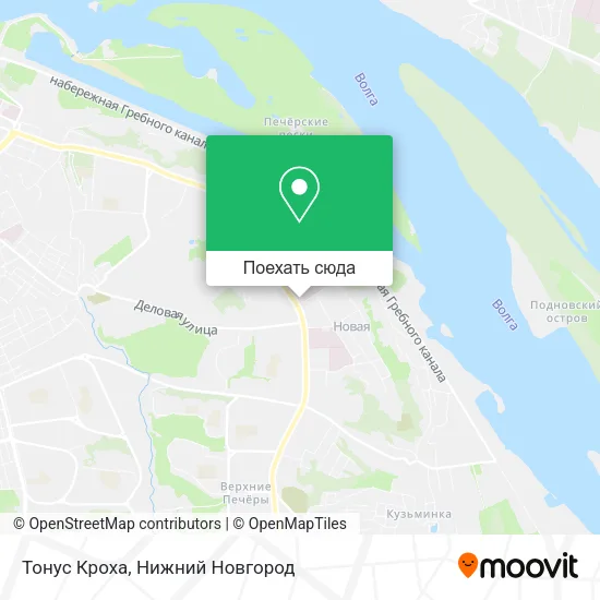 Карта Тонус Кроха