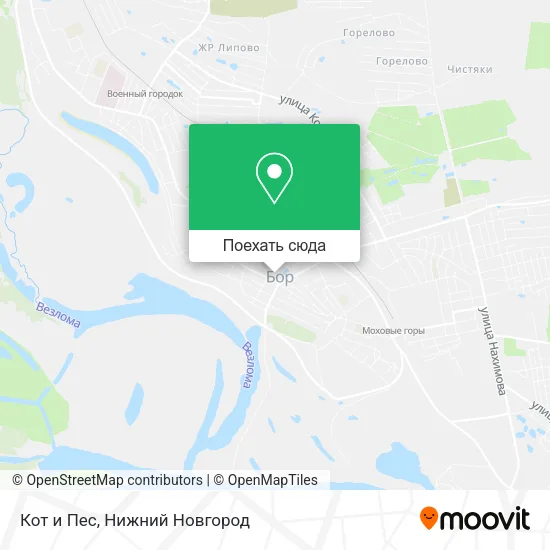 Карта Кот и Пес