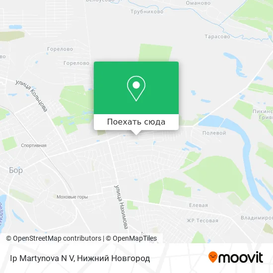 Карта Ip Martynova N V