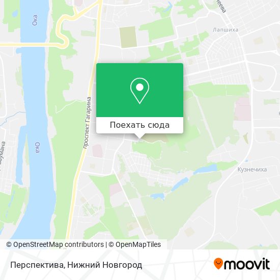 Карта Перспектива