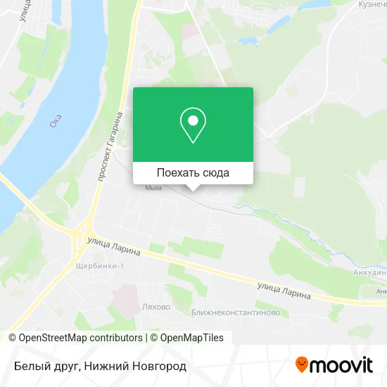 Карта Белый друг