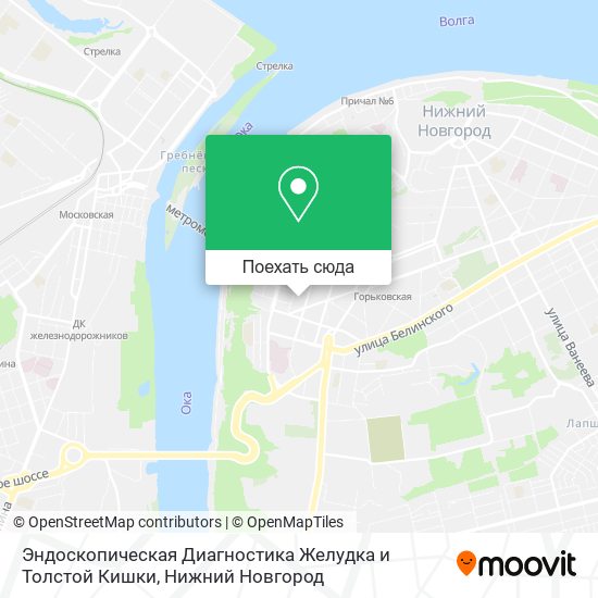 Карта Эндоскопическая Диагностика Желудка и Толстой Кишки
