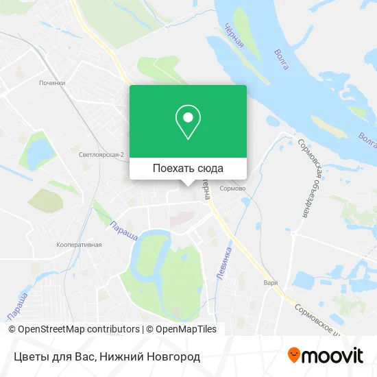 Карта Цветы для Вас