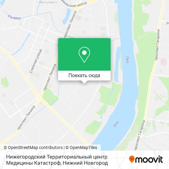 Карта Нижегородский Территориальный центр Медицины Катастроф