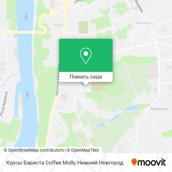 Карта Курсы Бариста Coffee Molly