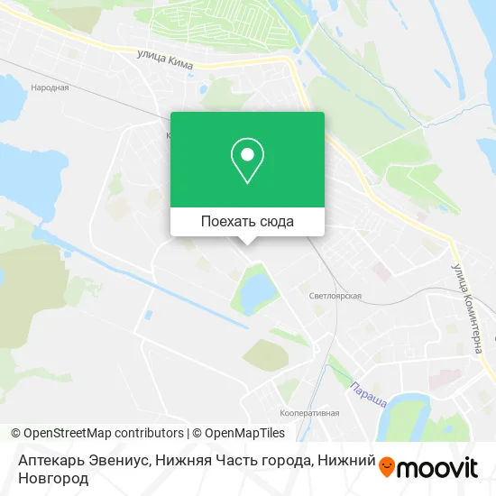 Карта Аптекарь Эвениус, Нижняя Часть города
