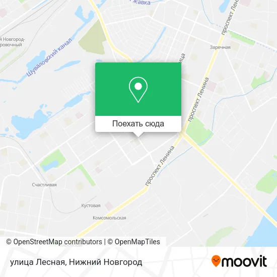 Карта улица Лесная