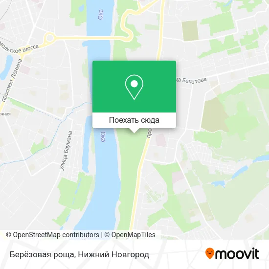 Карта Берёзовая роща