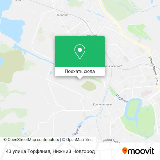 Карта 43 улица Торфяная