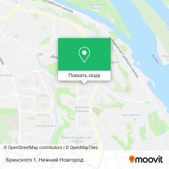 Карта Бринского 1