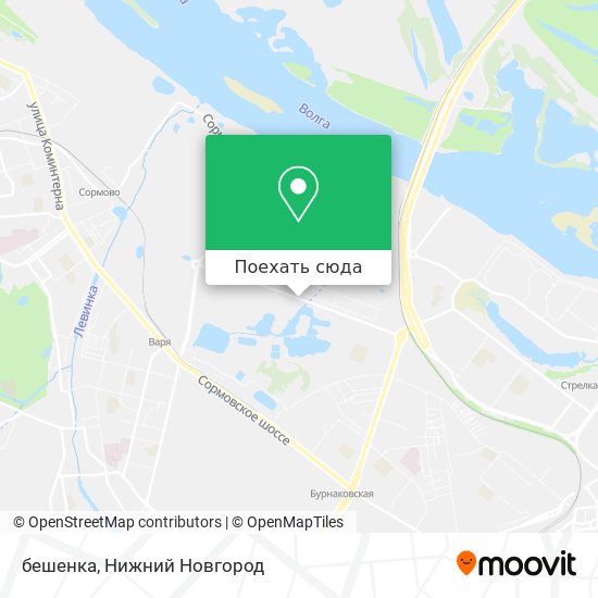 Карта бешенка