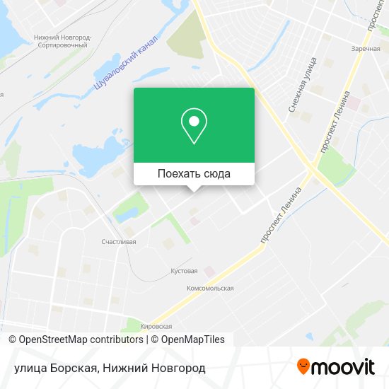 Карта улица Борская