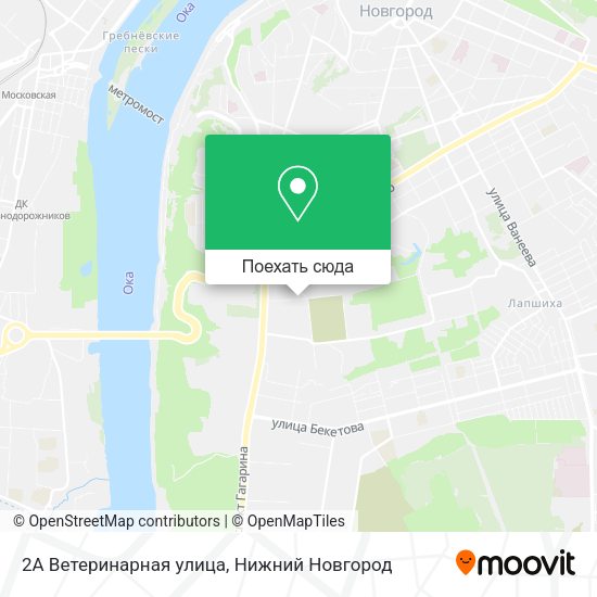 Карта 2А Ветеринарная улица